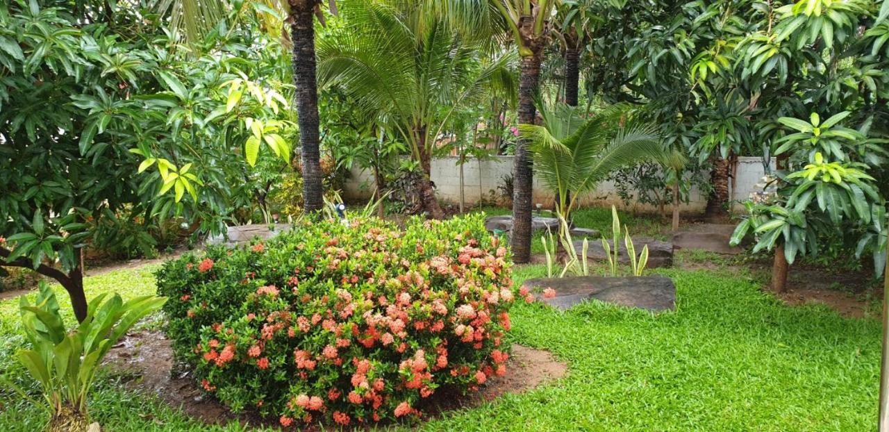 Nuch'S Apple Guest House Si Bun Ruang Dış mekan fotoğraf