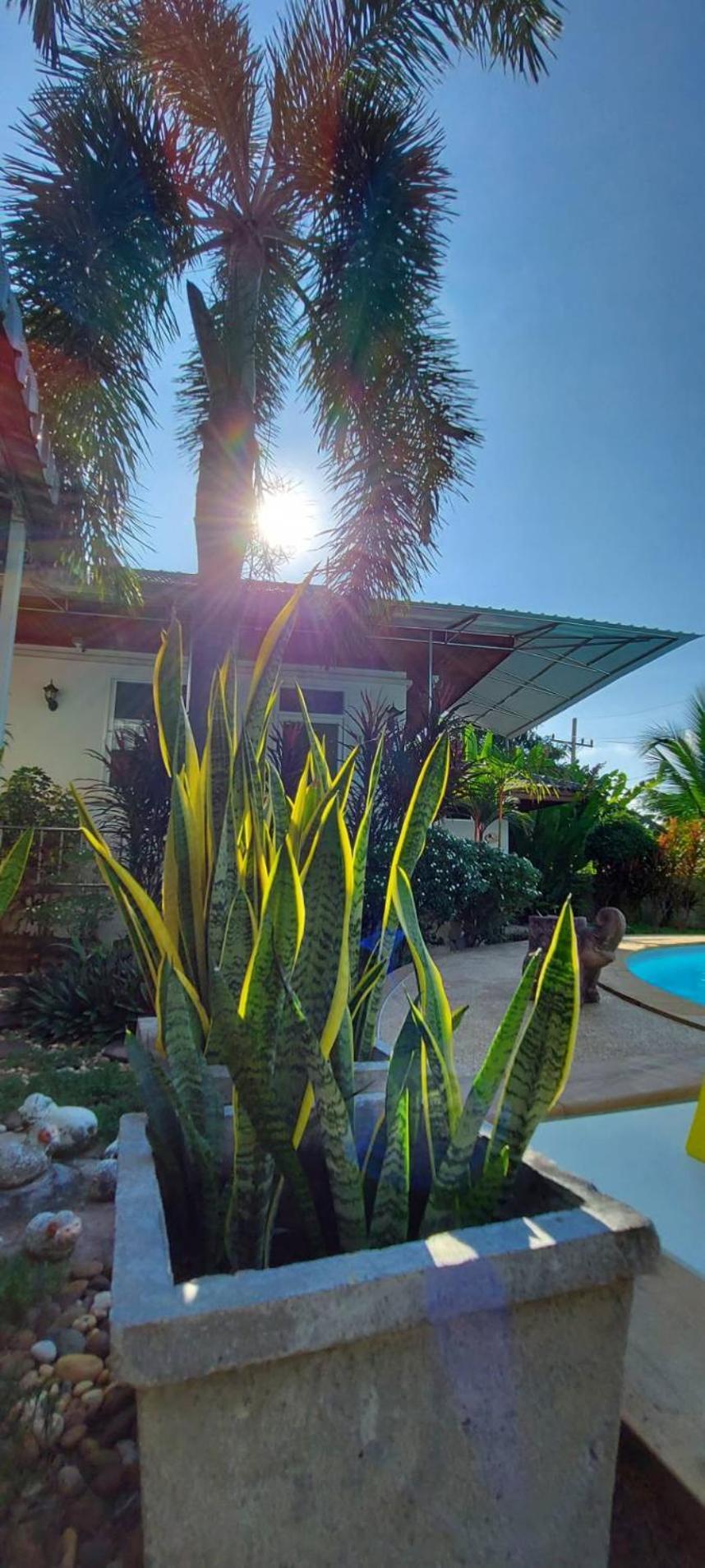 Nuch'S Apple Guest House Si Bun Ruang Dış mekan fotoğraf